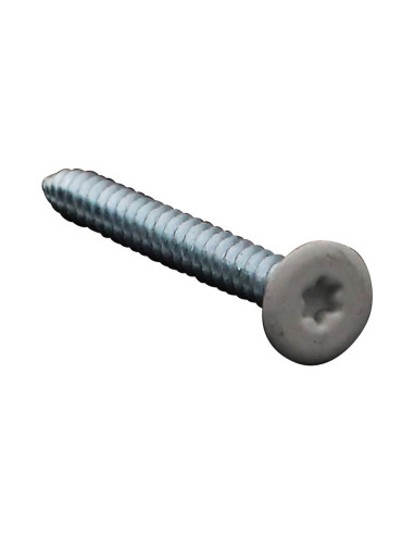 1 x Thread Rolling Screw Double Thread Flat...