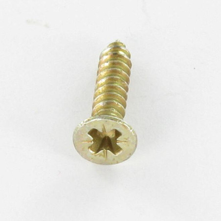 1 x THREAD ROLLING SCREW COUNTERSUNK HEAD POZI 3.9X32 YELLOW ZINC