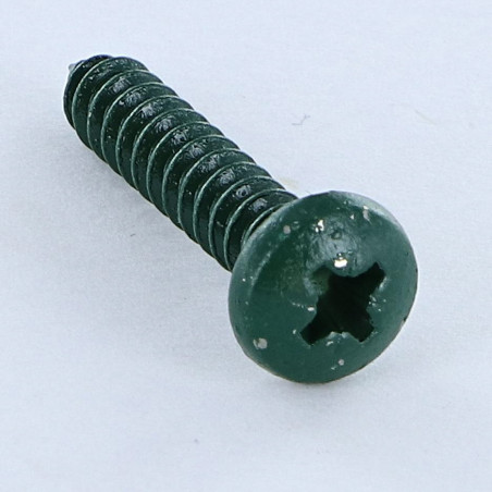 1 x Thread Rolling Screw Stainless Steel A2 wide domed head Pozi 4.8X25 Green Ral6005/Noss Green