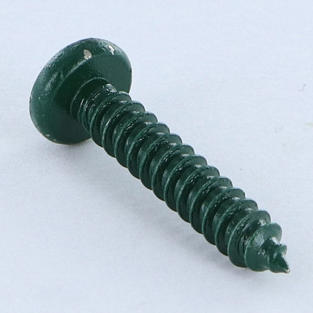 1 x Thread Rolling Screw Stainless Steel A2 wide domed head Pozi 4.8X25 Green Ral6005/Noss Green