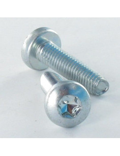 Self Tapping Screw wide domed head 3X16 T10 Zinc Plated...