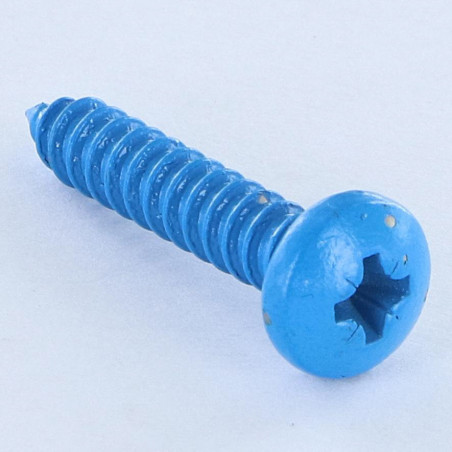 1 x Thread Rolling Screw Stainless Steel A2 wide domed head Pozi 4.8X25 Blue RAL5012
