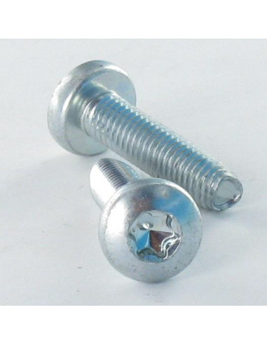 1 x Self Tapping Screw wide domed head 5X10 T25...