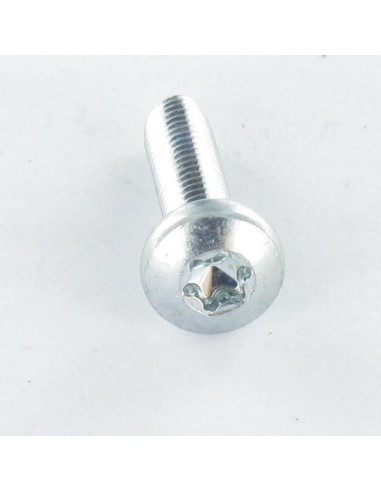 1 x Self Tapping Screw wide domed head 2.5X16...