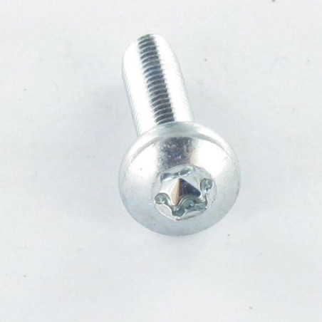 1 x Self Tapping Screw wide domed head 3X20 T10 Zinc Plated micro screw