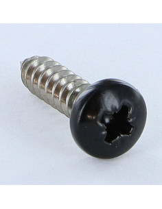 Thread Rolling Screw Stainless Steel A2 wide domed head...