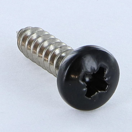 1 x Thread Rolling Screw Stainless Steel A2 wide domed head Pozi 4.8X19 Ral9005/Jet Black