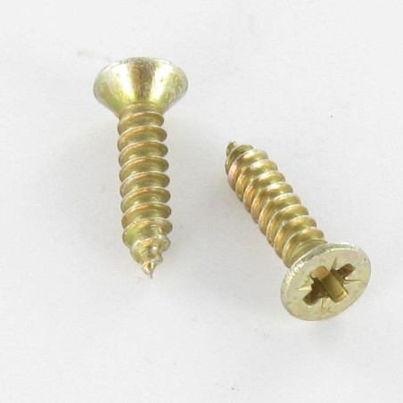 1 x Thread Rolling Screw Countersunk Head Pozi 4.2X25 Yellow Zinc