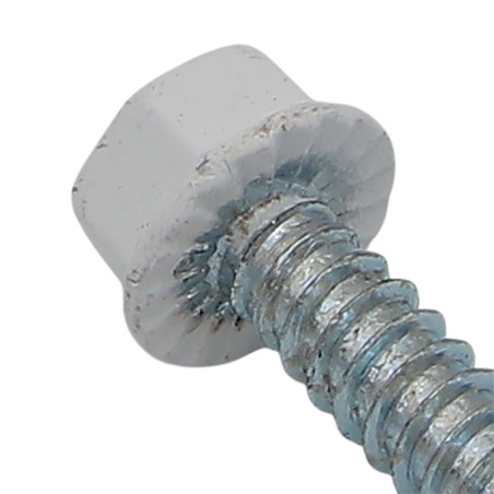 1 x Self Drilling Hexagonal Head 4.8X19 Zinc Plated Painted White Ral9010/Pure White 80% BRIL
