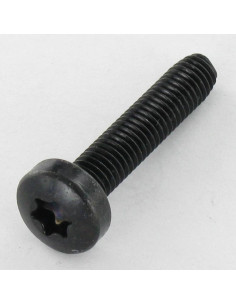 Self Tapping Screw wide domed head 4X8 T20 Black Zinc Plated