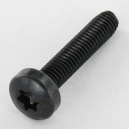 1 x Self Tapping Screw wide domed head M4X8 T20 Black Zinc Plated