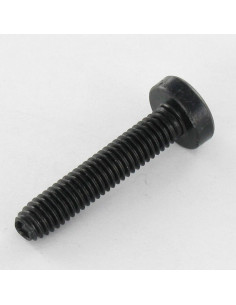 Self Tapping Screw wide domed head 4X8 T20 Black Zinc Plated 2