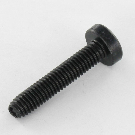 1 x Self Tapping Screw wide domed head 4X8 T20 Black Zinc Plated