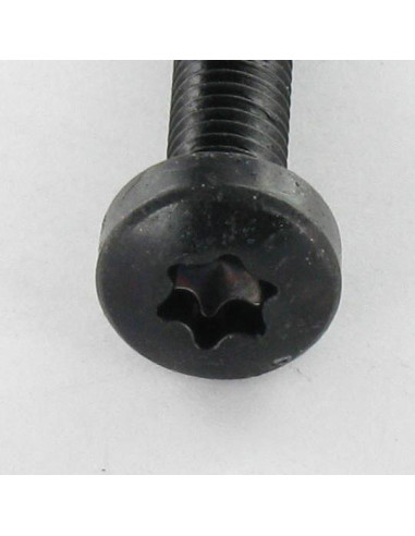 1 x Self Tapping Screw wide domed head 4X8 T20...