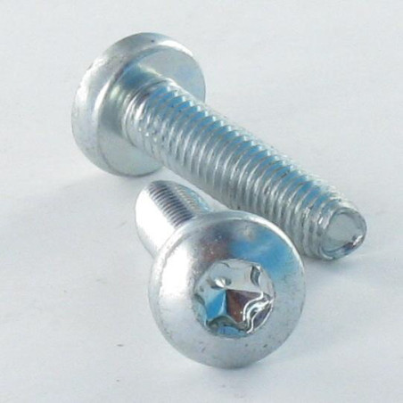 1 x Self Tapping Screw wide domed head M6X45 T30 Zinc Plated