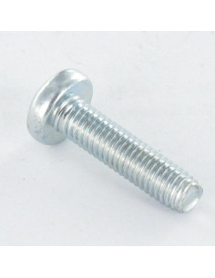 Self Tapping Screw wide domed head M6X45 T30 Zinc Plated 2