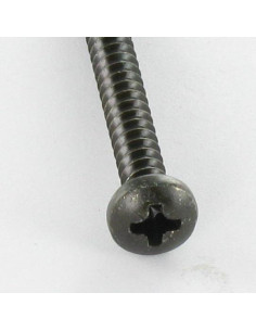 Thread Rolling Screw Stainless Steel A2 Black wide domed... 2