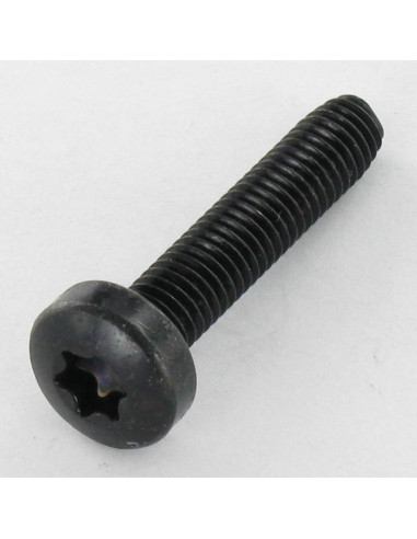 1 x Self Tapping Screw wide domed head 6X30 T30...