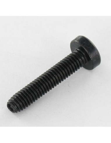 1 x Self Tapping Screw wide domed head 6X30 T30...
