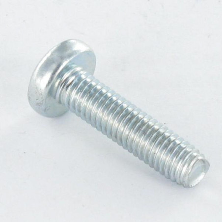 1 x Self Tapping Screw wide domed head 3X6 T10 Zinc Plated micro screw