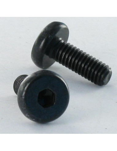 1 x Machine Screw Large Pan Head Hexagon Recess...