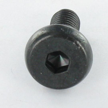 1 x Machine Screw Large Pan Head Hexagon Recess M6X16.5 Hexagon Socket 4 Full Thread Black Zinc Plated