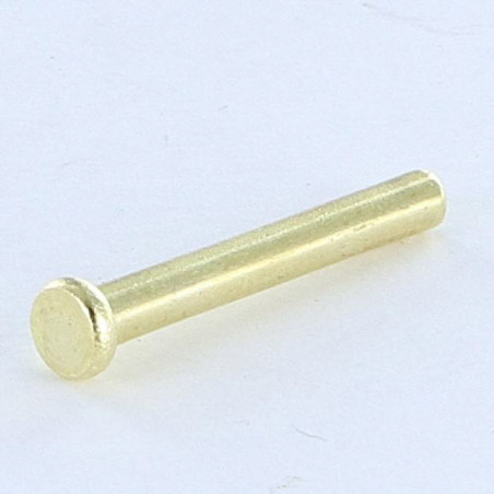 1 x Solid Rivet Flat Head 2.6X20 Head Diameter: 4.5 EP1.2 Brass Plated Steel