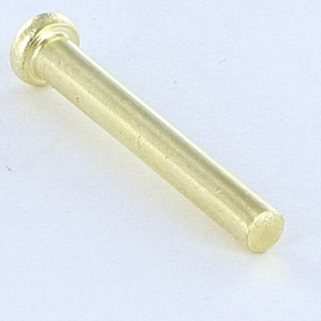 1 x Solid Rivet Flat Head 2.6X20 Head Diameter: 4.5 EP1.2 Brass Plated Steel