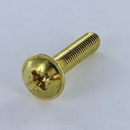 1 x Screw Mushroom Pozi And Slotted M6X14 Brass Plated Steel