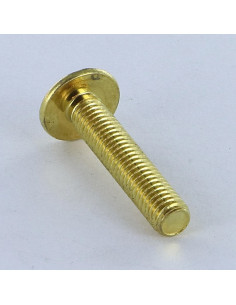 Screw Mushroom Pozi And Slotted M6X14 Brass Plated Steel 2