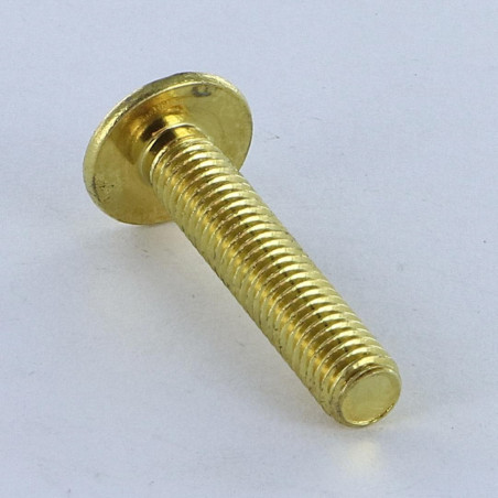 1 x Screw Mushroom Pozi And Slotted M6X14 Brass Plated Steel