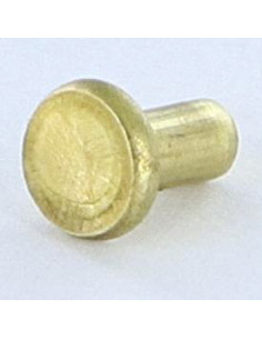 Solid Rivet Flat Head 3X5.5 Head Diameter: 5.5 EP1.3 Brass
