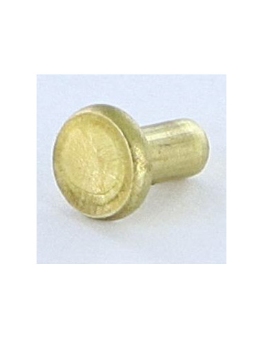 1 x Solid Rivet Flat Head 3X5.5 Head Diameter:...