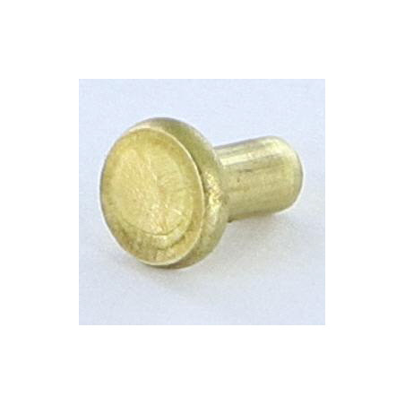 1 x Solid Rivet Flat Head 3X5.5 Head Diameter: 5.5 EP1.3 Brass