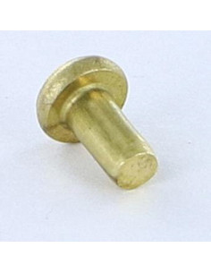 Solid Rivet Flat Head 3X5.5 Head Diameter: 5.5 EP1.3 Brass 2