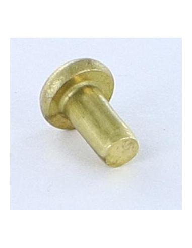 1 x Solid Rivet Flat Head 3X5.5 Head Diameter:...