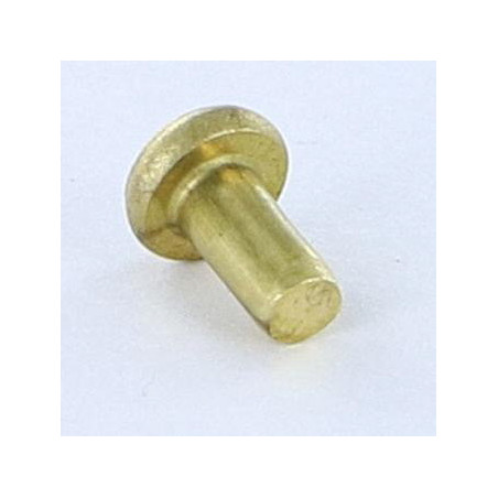 1 x Solid Rivet Flat Head 3X5.5 Head Diameter: 5.5 EP1.3 Brass