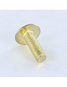 Screw Mushroom Slotted In Cross M8X16 Brass 2