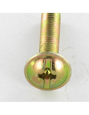 1 x Screw Mushroom Pozi And Slotted M4X22...
