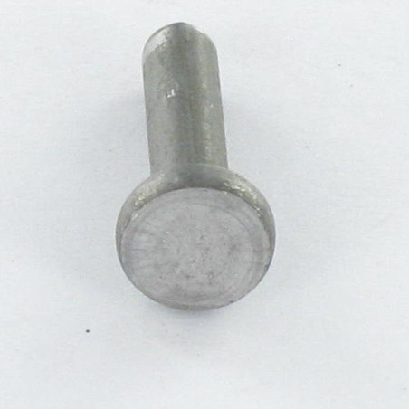 1 x Solid Rivet Flat Head 6X20 ALUA5