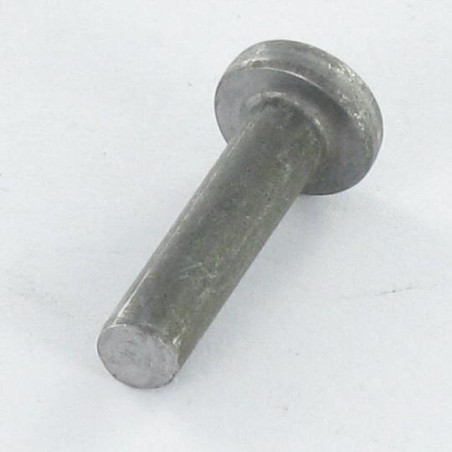 1 x Solid Rivet Flat Head 6X20 ALUA5