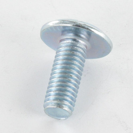 1 x Screw Mushroom Slotted In Cross M8X20 Zinc Plated