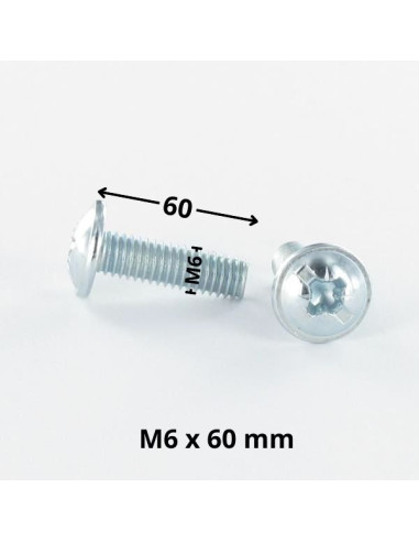 1 x Screw Mushroom Pozi And Slotted M6X60 Zinc...