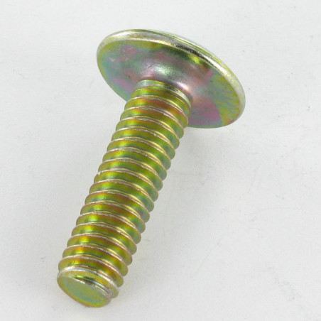 1 x Screw Mushroom Slotted In Cross M8X40 Yellow Zinc