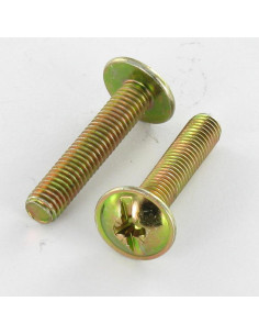 Screw Mushroom Pozi And Slotted M6X10 Yellow Zinc