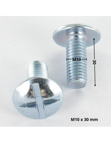 1 x Screw Mushroom Slotted In Cross M10X30 Zinc...