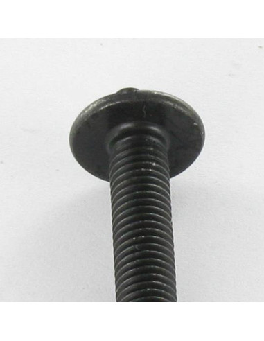 1 x Screw Mushroom Pozi And Slotted M6X30 Black...