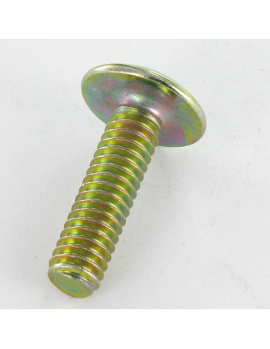 1 x Screw Mushroom Slotted In Cross M6X80...
