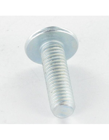 1 x Screw Mushroom Pozi And Slotted M4X40 Zinc...