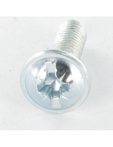 1 x Screw Mushroom Pozi And Slotted M6X10 Zinc...